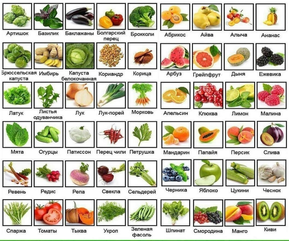 Разнообразие видов овощей