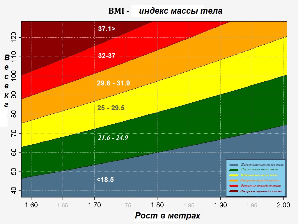 BMI калькулятор дает возможность быстро определить находится ли вес в норме...